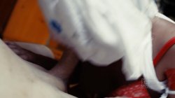 Captura de 'Manhandled 6' nº 66