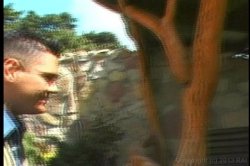Captura de 'Rocco's Sexual Superstars' nº 48