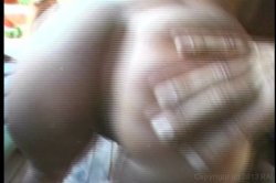 Captura de 'Rocco's Sexual Superstars' nº 50