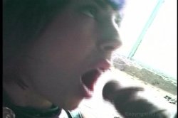 Captura de 'Rocco's Sexual Superstars' nº 82