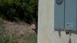 Captura de 'Pornstars Like It Big Vol. 12' nº 84