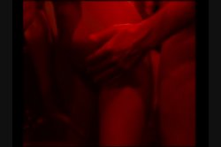 'Stud Hunters' screenshot nº 100
