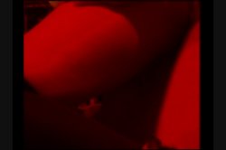'Stud Hunters' screenshot nº 102