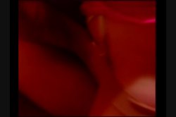 'Stud Hunters' screenshot nº 124