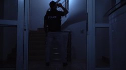 'Backpackers Volume 7' screenshot nº 4