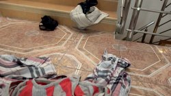 'Backpackers Volume 7' screenshot nº 129