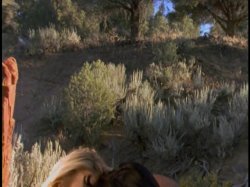 Captura de 'Search For The Snow Leopard' nº 86