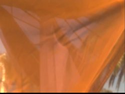 Captura de 'Duchess' nº 16