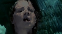'Island Fever 4' screenshot nº 60