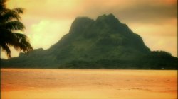 'Island Fever 4' screenshot nº 78
