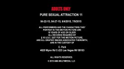 Captura de 'Pure Sexual Attraction 11' nº 1