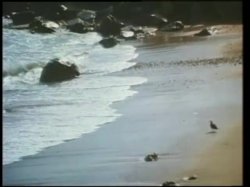 Captura de 'Talk Dirty To Me 3' nº 15