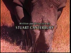Captura de 'Africa Rising' nº 5