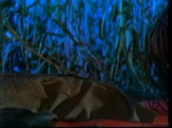 Captura de 'Africa Rising' nº 29