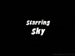 Captura de 'Sky's Day Off' nº 6