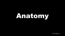 Captura de 'Tristan Taormino's Expert Guide To Advanced Anal Sex' nº 2