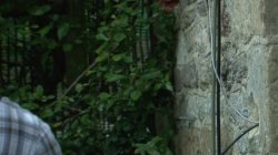Captura de 'Fuck the Farmers Daughter' nº 2