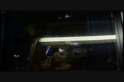 Captura de 'Sex Drive' nº 93