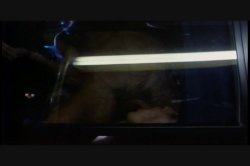 Captura de 'Sex Drive' nº 96