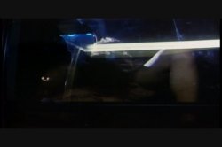 Captura de 'Sex Drive' nº 100