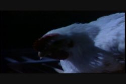 Captura de 'Sex Drive' nº 112