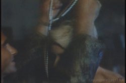 Captura de 'Girl's Best Friend, A' nº 101