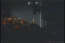 Captura de 'Girl's Best Friend, A' nº 2