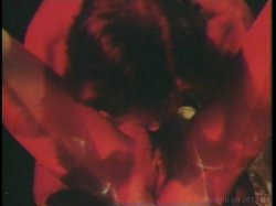 'Bad Penny' screenshot nº 126
