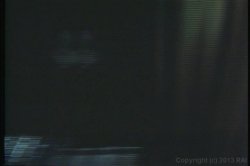 Captura de 'Felicia' nº 133