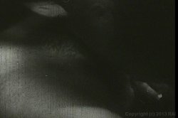 Captura de 'When Sex Was Dirty Vol. 2' nº 101