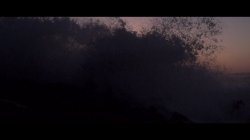 Captura de 'Exhibitionist 2: Women In The Wild, The' nº 35