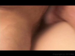 'Starlet Fever 2' screenshot nº 97