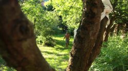 'Summer Lovers' screenshot nº 6