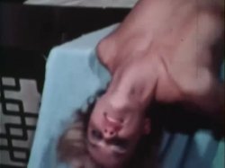 'Golden Girls 194 - It Isn't The Money' screenshot nº 32