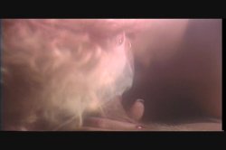 Captura de 'Amazing Tails 4' nº 54
