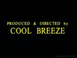 Captura de 'Coochies Under Fire 3' nº 2