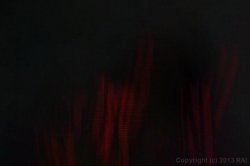 'Lex Steele 4 Hours Long: All Anal Showcase Vol. 3' screenshot nº 41