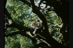 'Love Scenes for Loving Couples' screenshot nº 9
