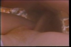 'Lisa Deleeuw Triple Feature 4' screenshot nº 19