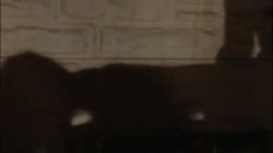 'American Porn Idol' screenshot nº 101