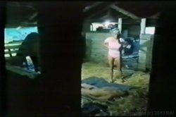 Captura de 'Candy And Uschi Triple Feature' nº 86
