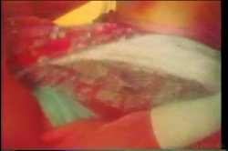 Captura de 'Seka Triple Feature 5' nº 62