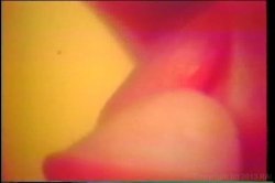 Captura de 'Seka Triple Feature 5' nº 64