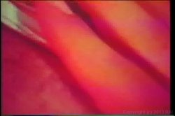 Captura de 'Seka Triple Feature 5' nº 69