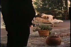 'Pussy Lickin' Good - Classic Chicks Dyke Out' screenshot nº 115