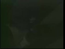 Captura de 'Big Bust Pissing Perverts' nº 35