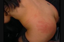 'Sluthunt 6' screenshot nº 81