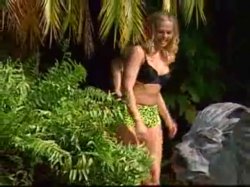 'Lee's Summer Fling' screenshot nº 5