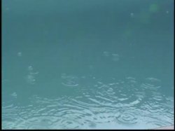 Captura de 'Latin Eye Candy 17' nº 101