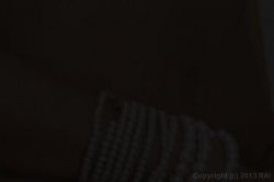 'My Wife Went Black' screenshot nº 32
